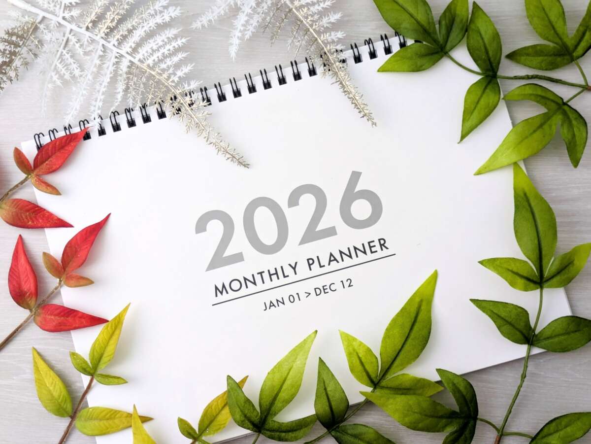 2026