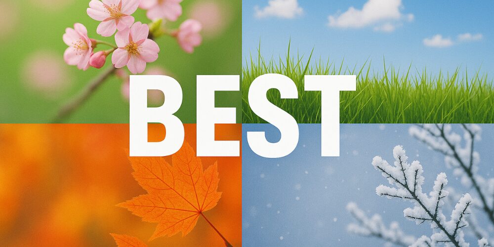 春の桜、夏の青空、秋の紅葉、冬の雪景色の4分割背景に「BEST」の文字。