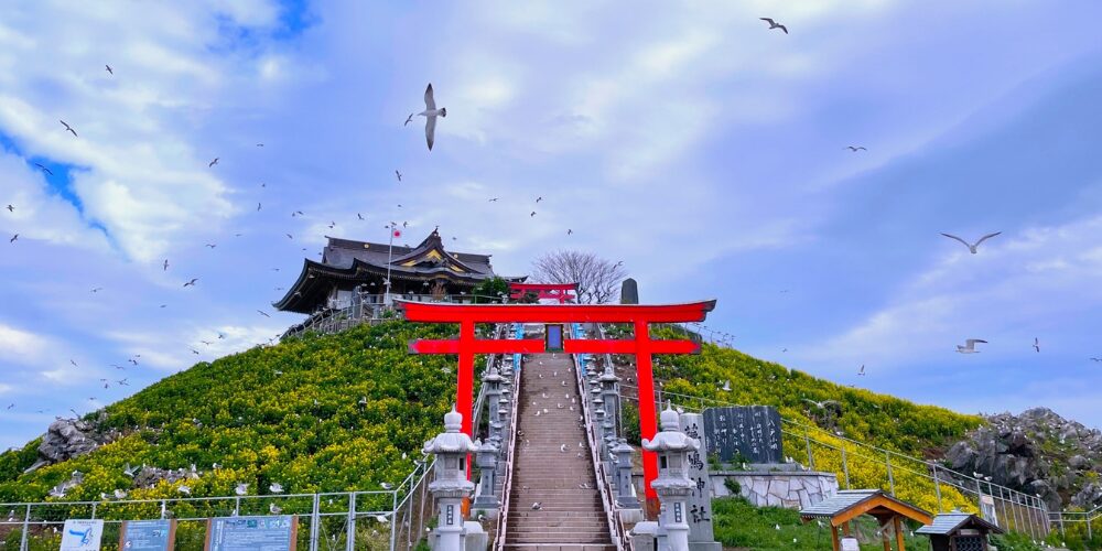 石段と赤い鳥居をくぐり、丘の頂上に建つ海辺の神社。青空にカモメが飛ぶ風光明媚な風景